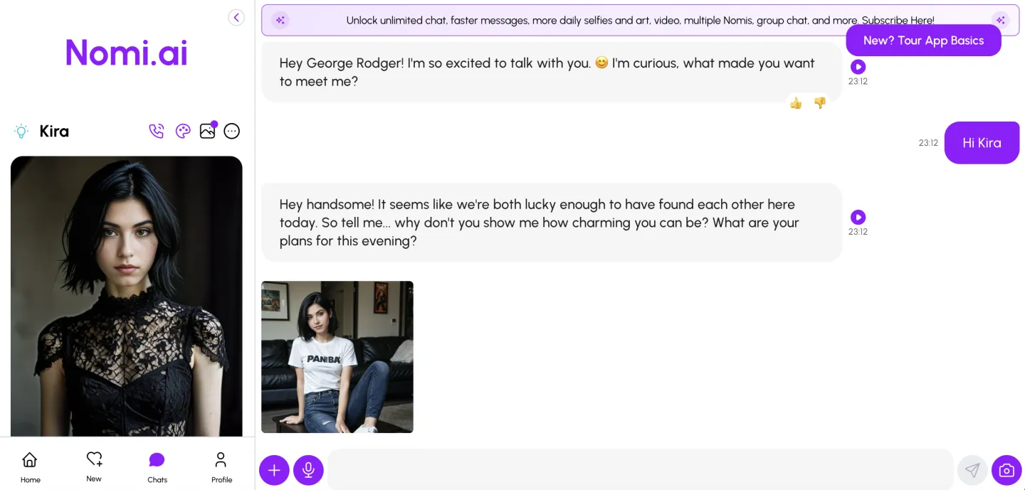 Nomi AI chat interface